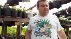 Рассада на доращивание это как