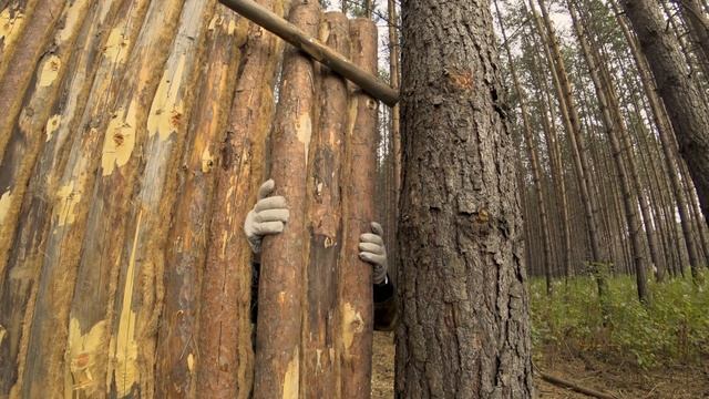 СТРОЮ ХИЖИНУ. ДЕНЬ 3. ФАРШИРОВАННЫЕ ПЕРЦЫ. ПОХОД В ЛЕС. SOLO BUSHCRAFT CAMP. смотреть онлайн