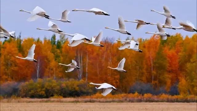 Дон-Жуан поэма смотреть онлайн