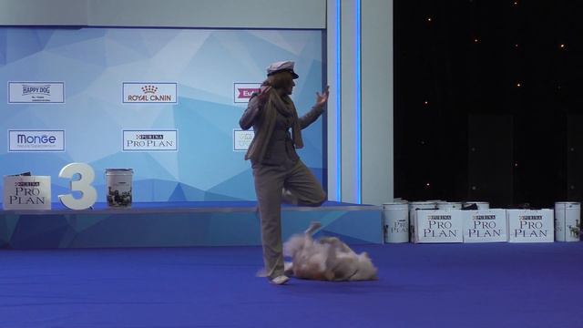 Танцы с собаками "Евразия - 2017". смотреть онлайн