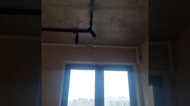 2022-11-11 смотреть онлайн