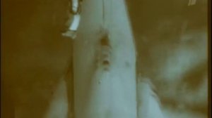 Белка, Стрелка и другие 2009