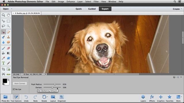 Correct "Pet Eye" in Photoshop Elements 12 смотреть онлайн