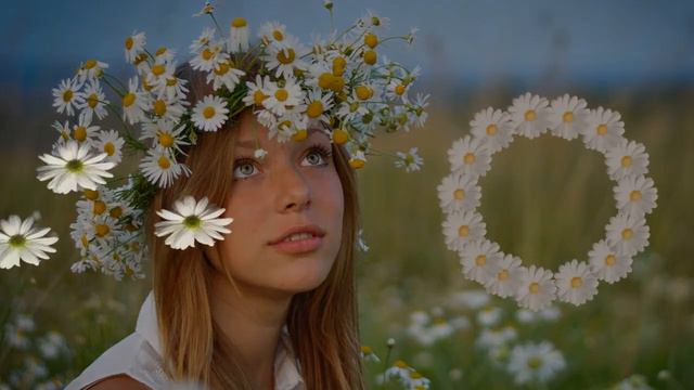 Ромашки. Выполнение уроков 8, 9 и 10 смотреть онлайн