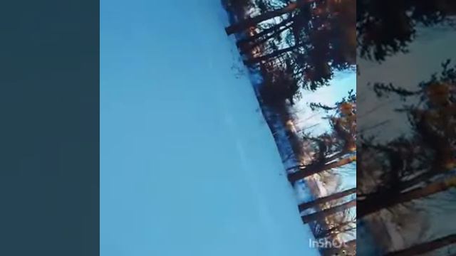 Заброшенный стадион увидели странное существо!!!!!!Но я его не заснял. смотреть онлайн