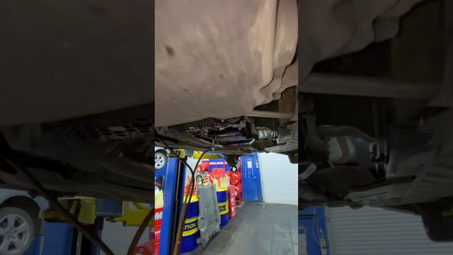 Елена Попова