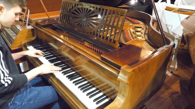 Schiedmayer Baby Grand Piano Rosewood at Sherwood Phoenix Piano's Nottingham смотреть онлайн