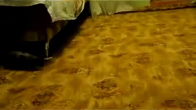 Морская свинка скинни Федя движнячит смотреть онлайн