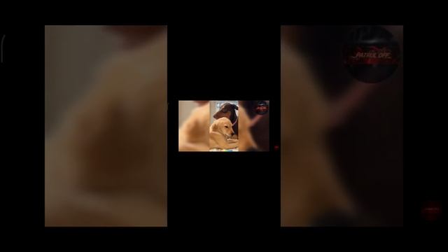 14 февраля 2023 г.