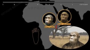 Эволюция человека: кто был предком Homo sapiens? | История человечества | Познавательное видео