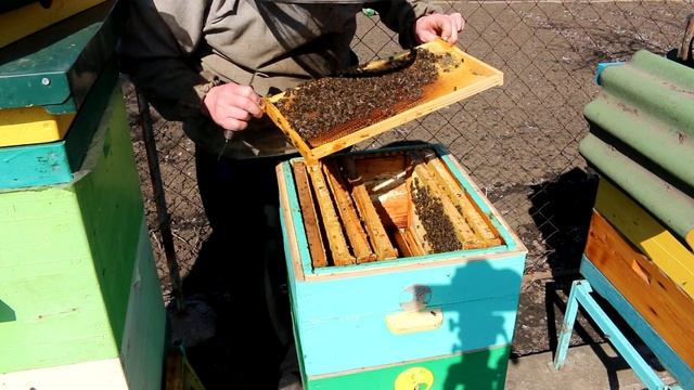 Первый осмотр пчел 2022 ХЛОРКА смотреть онлайн