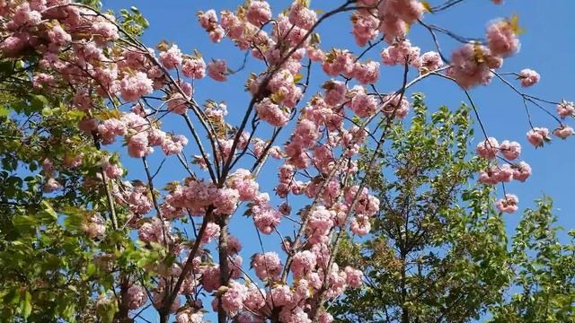 Люди и их дела. О чём молчат мудрецы? смотреть онлайн