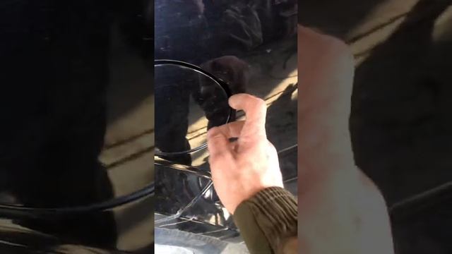 ГБО HAVAL смотреть онлайн
