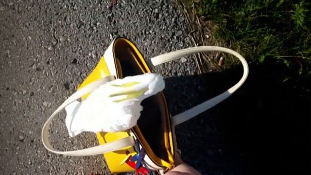 Сockatoo Kesha - В сумке на прогулке смотреть онлайн