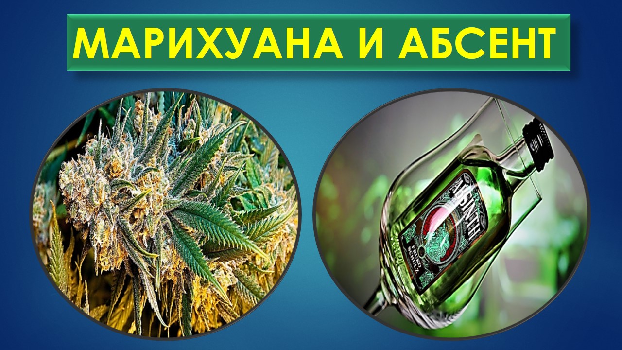 Марихуана и Абсент. Истоки Модернизма и авангардизма - Ю. Очеретянный конференция 20.03.2022.mp4 смотреть онлайн