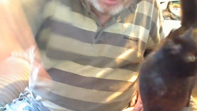 Video 3 смотреть онлайн