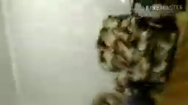 Кароче говоря День сурка смотреть онлайн