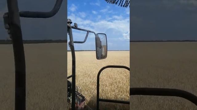 Акрос 595+ смотреть онлайн