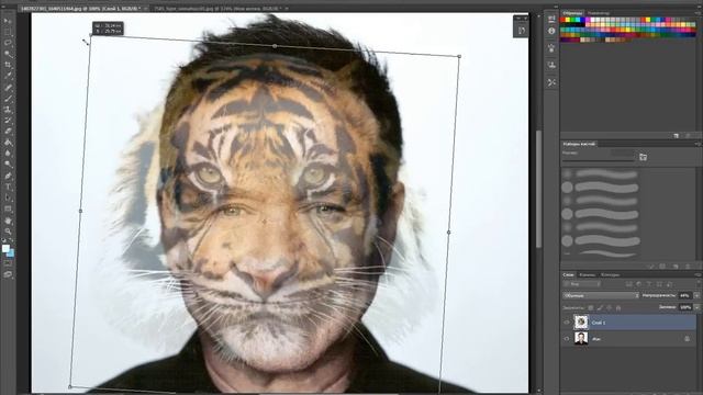 Как сделать тигриное лицо в Photoshop смотреть онлайн
