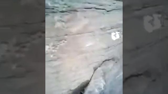 Древние наскальные рисунки на горе Кун таг Хакасия смотреть онлайн