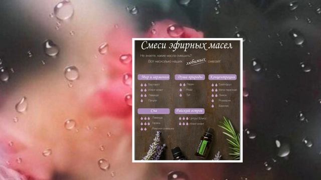 Внутренняя экология . Разум (и волшебное мытьё полов для достатка смотреть онлайн