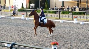 ГАЛОП VS РЫСЬ или просто HorseFails