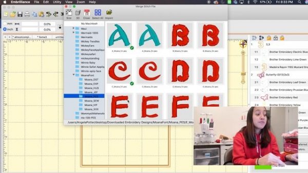 EMBRILLIANCE ESSENTIALS TUTORIAL: THE BASICS FOR BEGINNERS! EMBROIDERY SOFTWARE