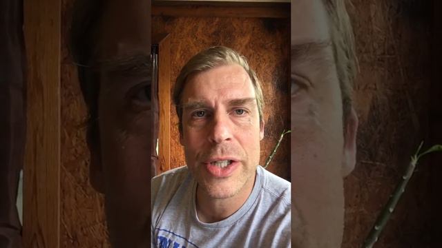 Boredom in Sobriety Tips смотреть онлайн
