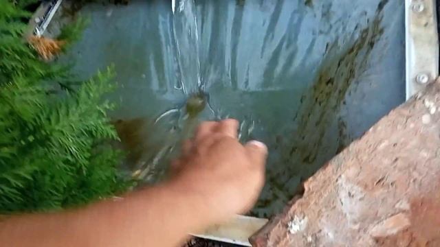 Чистим сеткой 75 микрон . смотреть онлайн