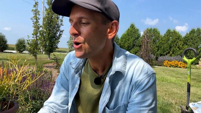 Planting Hydrangeas and Grasses in the Fall 🌼🌿🍂 || Wyse Guide смотреть онлайн