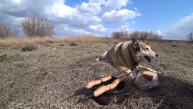 НАШЁЛ...Я ПЕРВЫЙ ОТ НАХОДОК ТРЕЩИТ ПРИЦЕП / Новые РЕКОРДЫ сезона копа металлолома. смотреть онлайн