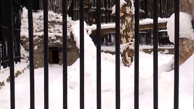 Уроки Азарова Алексея Васильевича смотреть онлайн