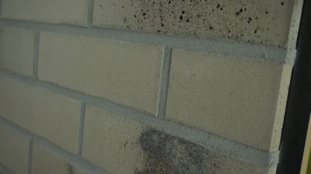 Feldhaus Klinker R980NF Bacco Argo Darko