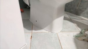 Быстрая и простая установка унитаза на силикон. Всё просто