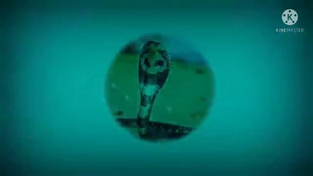 Nagini Music Nagini Dance Dj Mix Music In Telugu Nagini Nagini Song Music
