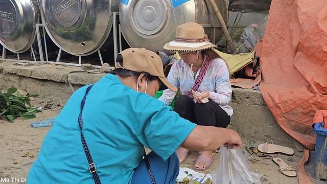 Harvesting Litchi Fruit Garden Goes To The Market Sell - Build A New Life - Ma Thi Di