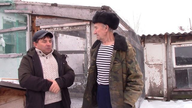 Пилюгин Александр Петрович / Старейший Варненский голубевод смотреть онлайн