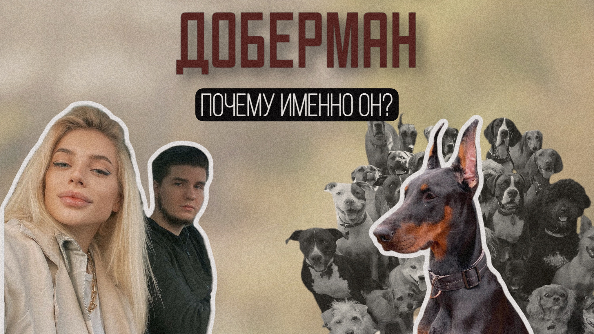 ‼️ПОЧЕМУ ИМЕННО ДОБЕРМАН‼️