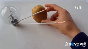 Свет из картошки :) бери и делай