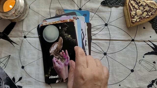 My Most Versatile Decks смотреть онлайн