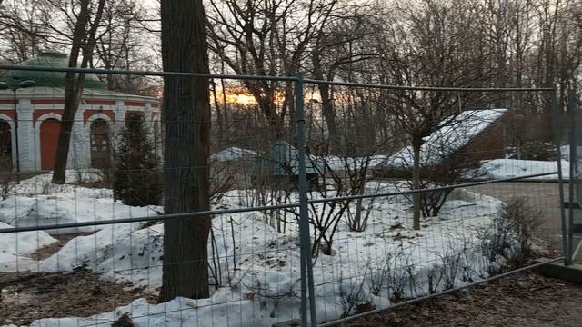 Вырубка деревьев в Нескучном саду.