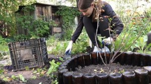 Клумба из бутылок своими руками