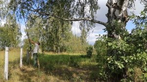 КАК ОБРЕЗАТЬ ВЫСОКИЕ ВЕТКИ НА ДЕРЕВЕ БЕЗ ЛЕСТНИЦЫ. ЖКВ Саморучка