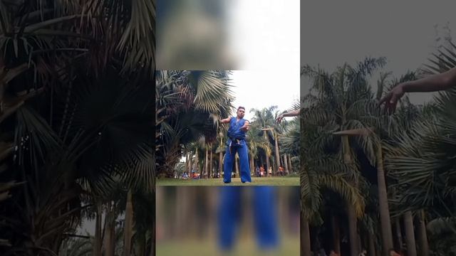 #balance #unique #martialarts #scottadkins #vandamme #kickboxing #universe #americansports #indian смотреть онлайн