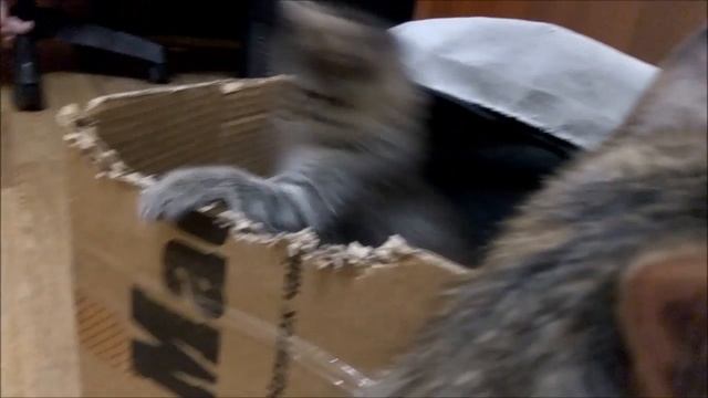 Лагерта смотреть онлайн