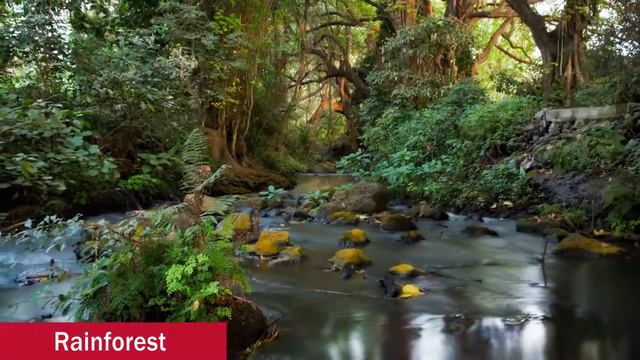 Climbing Kilimanjaro: Climate And What To Expect | Trek Tips