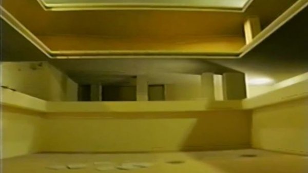 Backrooms - Found Footage #2