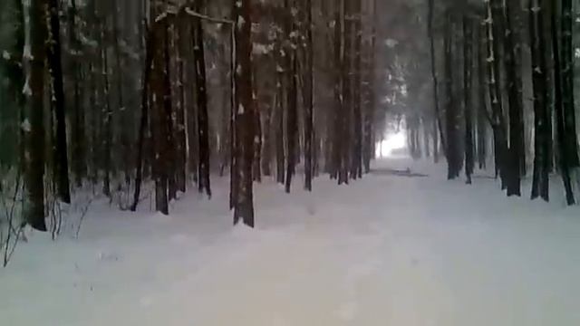 Зима пришла... смотреть онлайн