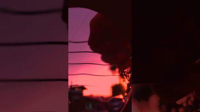 dandelions - ruth b. (guitar cover) смотреть онлайн