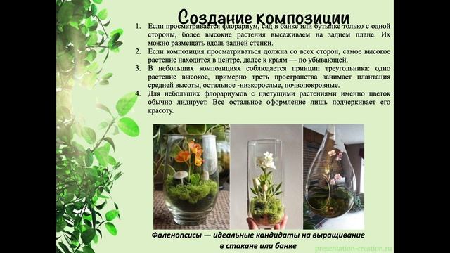 Мастер-класс "Изготовление флорариума" смотреть онлайн
